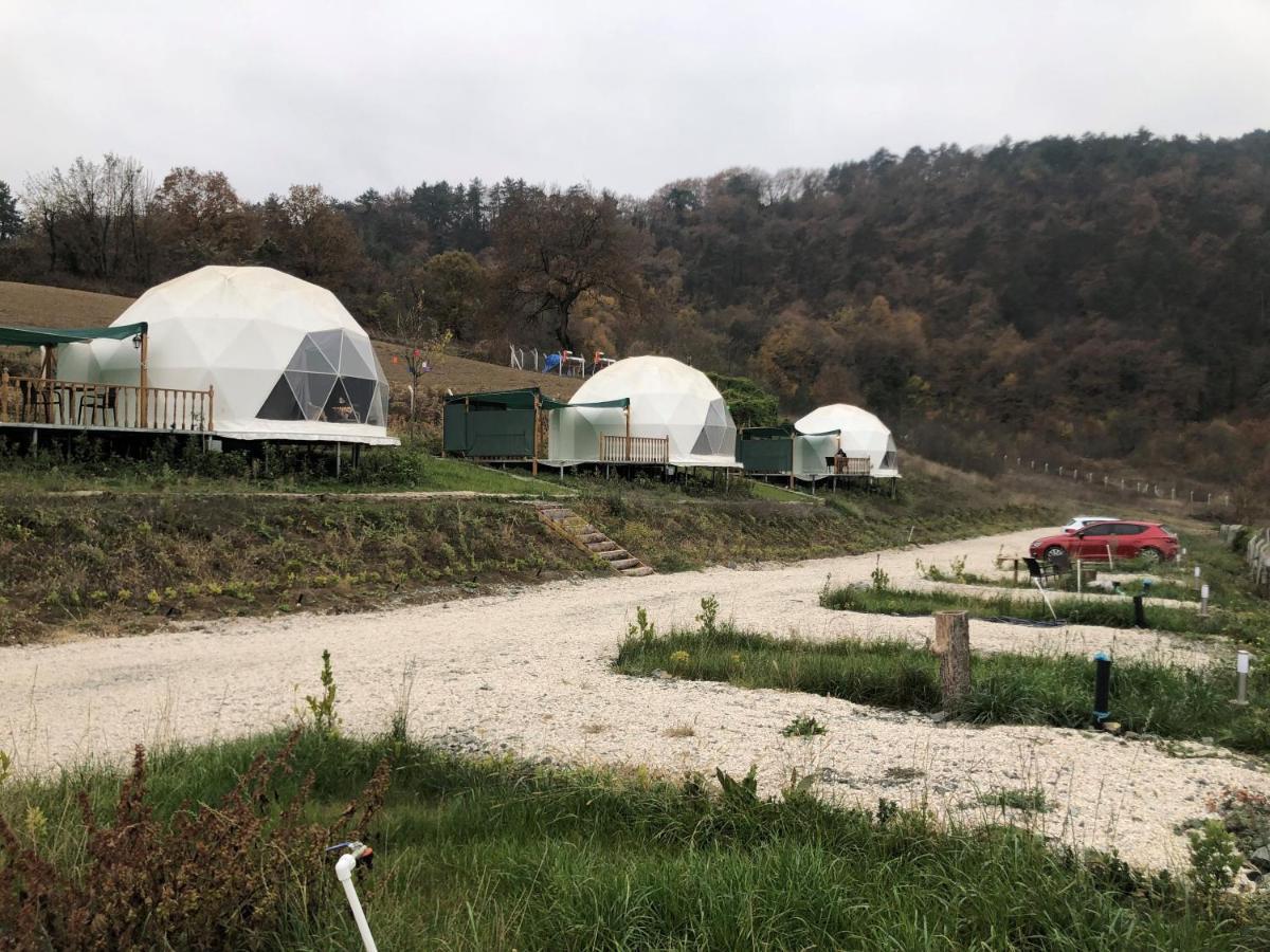 Dengekoru Wildlife & Glamping Hotell Mudurnu Exteriör bild