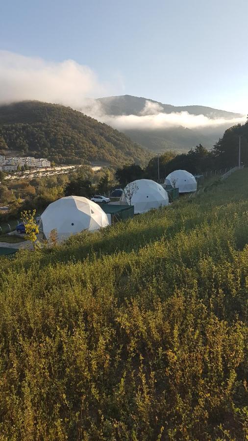 Dengekoru Wildlife & Glamping Hotell Mudurnu Exteriör bild